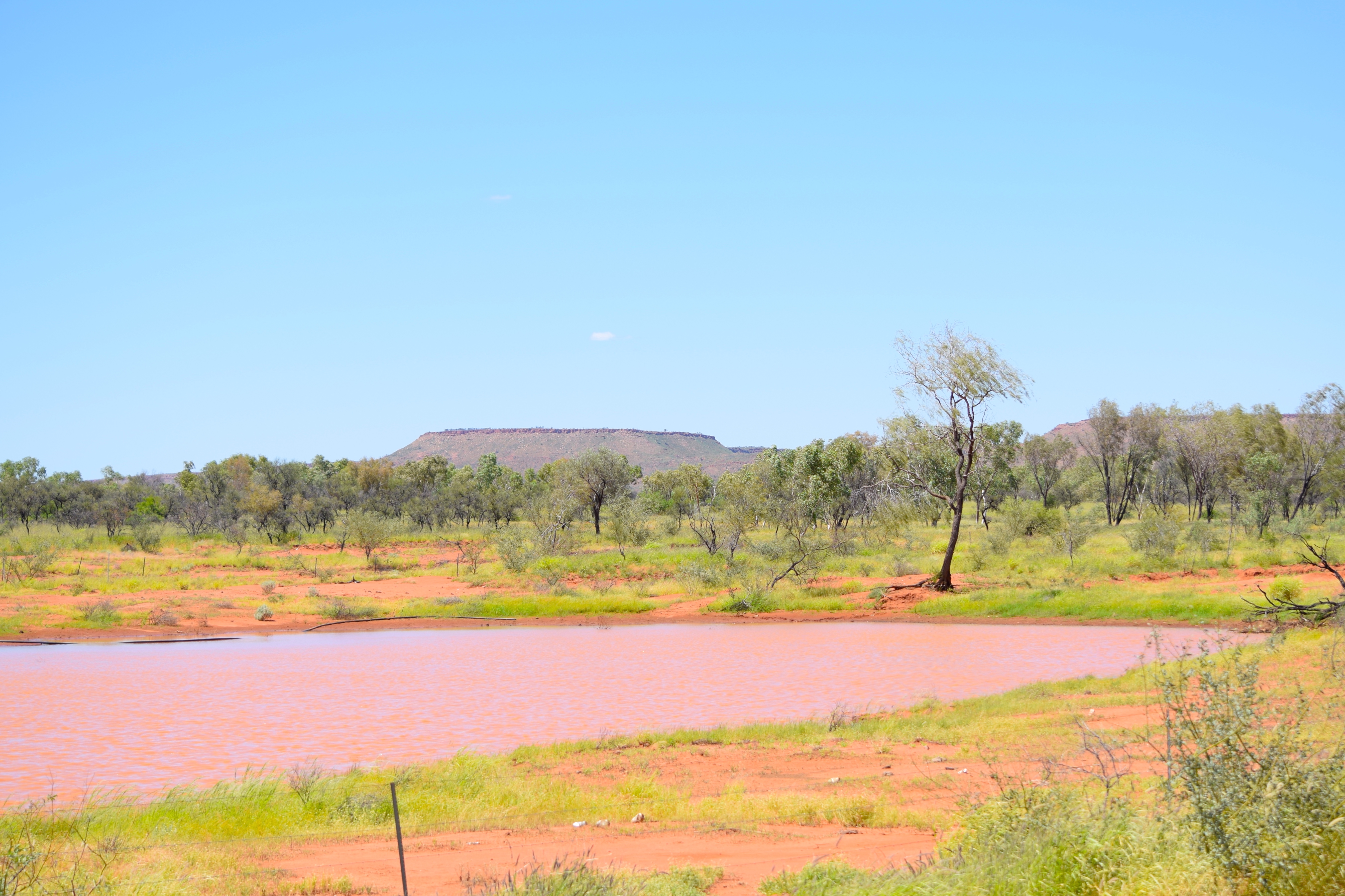 Landschaft